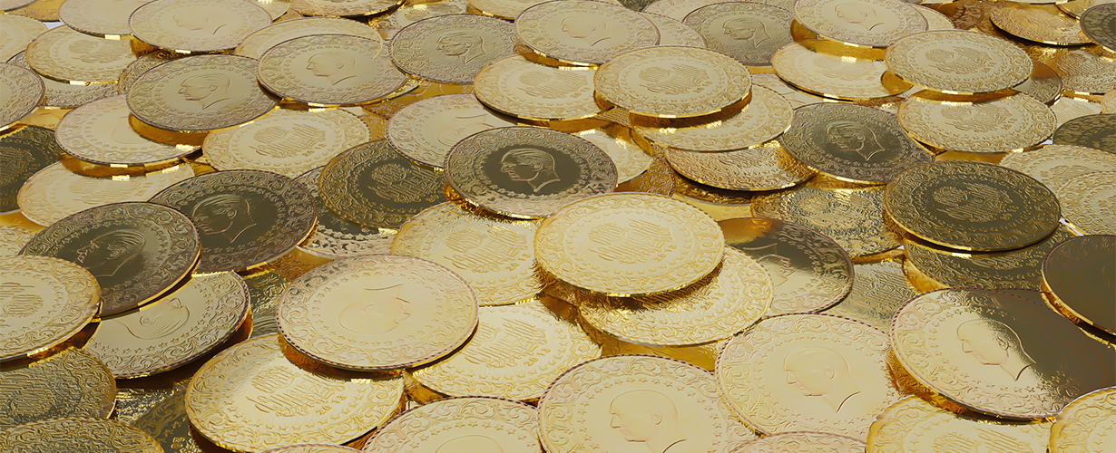 22 Ayar ve 24 Ayar Gram